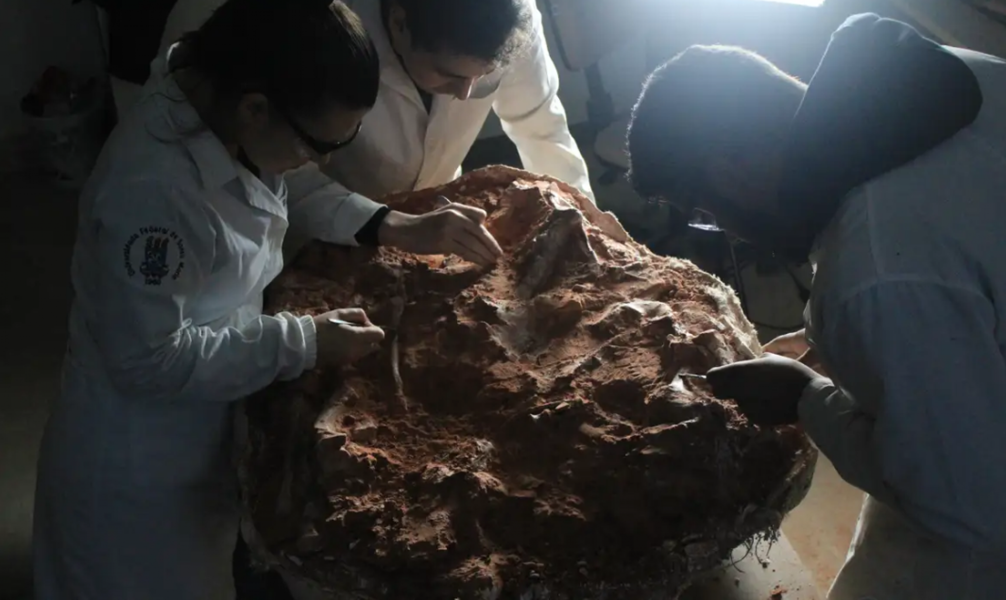 Fóssil de dinossauro de 233 milhões de anos é encontrado no RS após enchentes