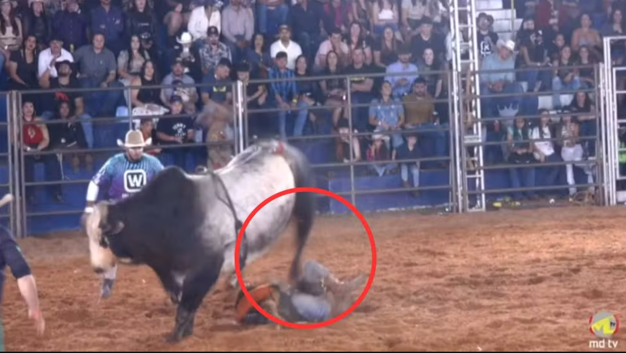 VÍDEO: Peão morre após ser pisoteado por touro em rodeio no interior de São Paulo