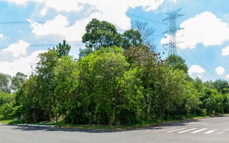 Rua José Antônio Lucchese Gusmão - Avenida Farroupilha - A Casa É Sua