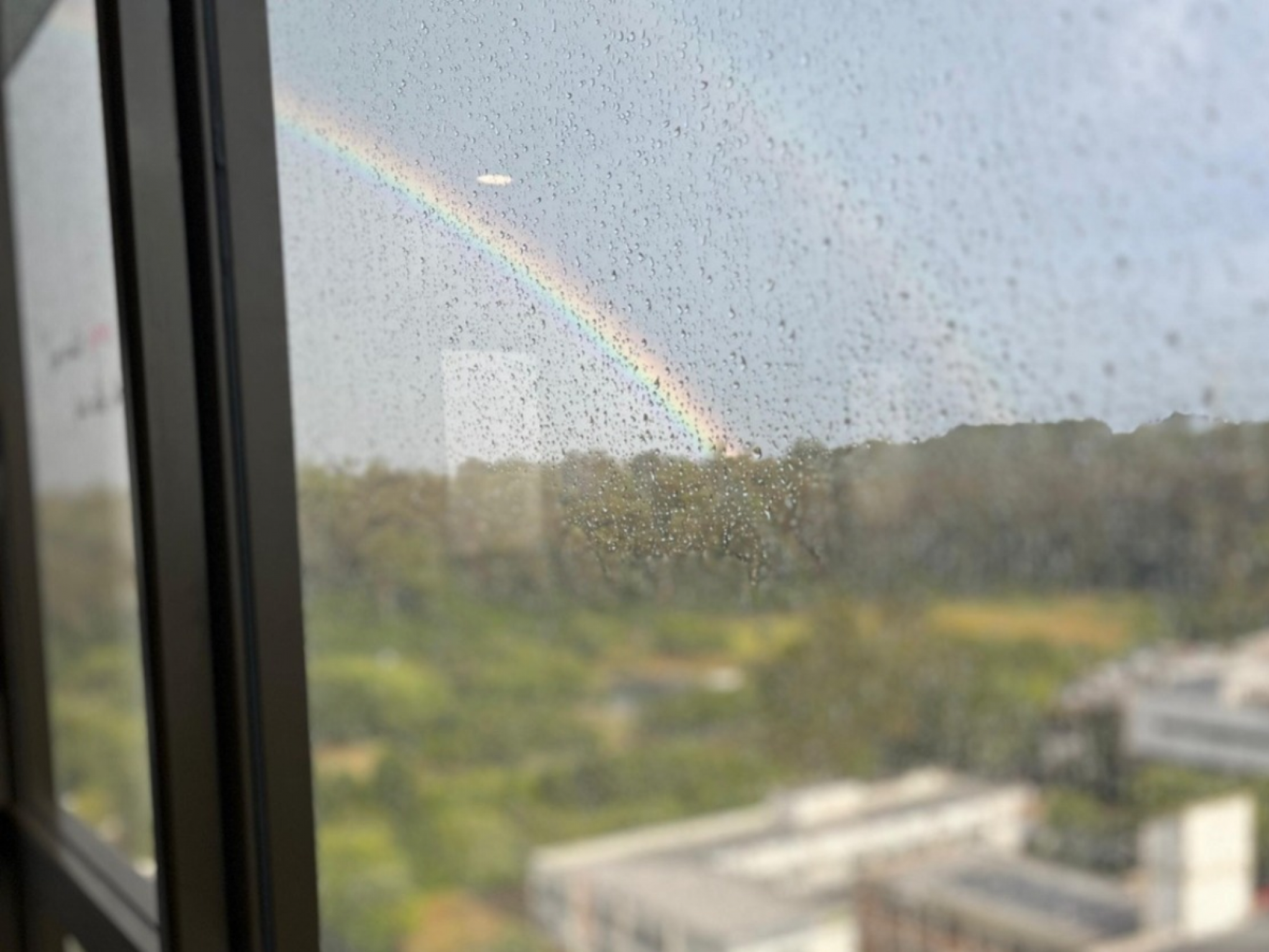Calor e chuva? Saiba como fica o tempo em fevereiro no RS