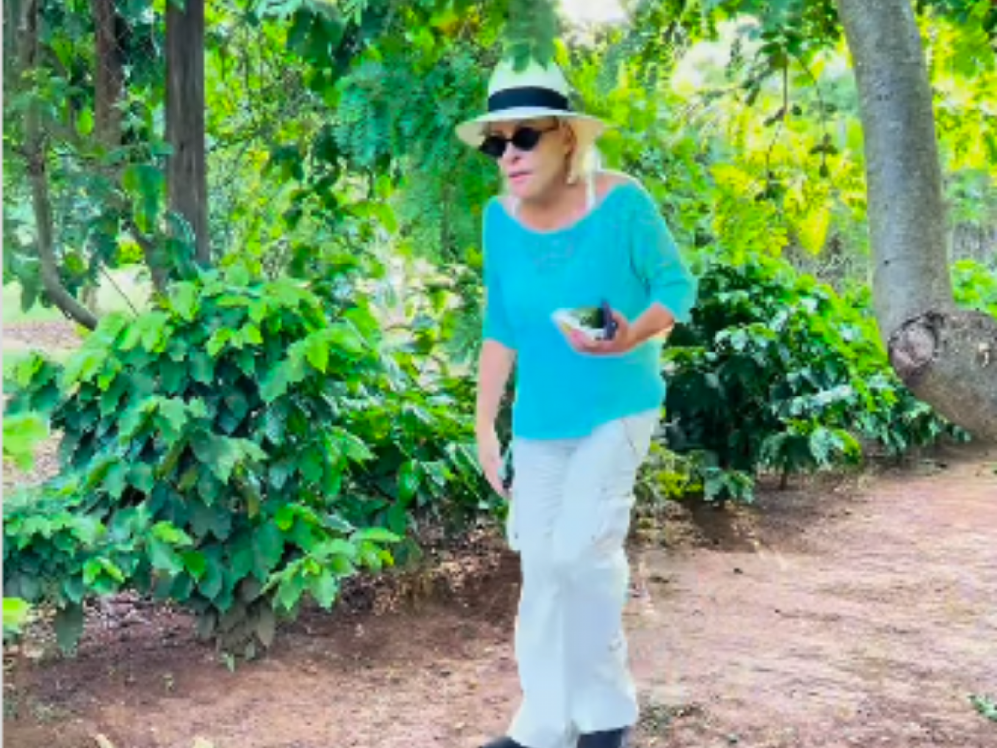 Ana Maria Braga vai para hospital após ser picada por escorpião