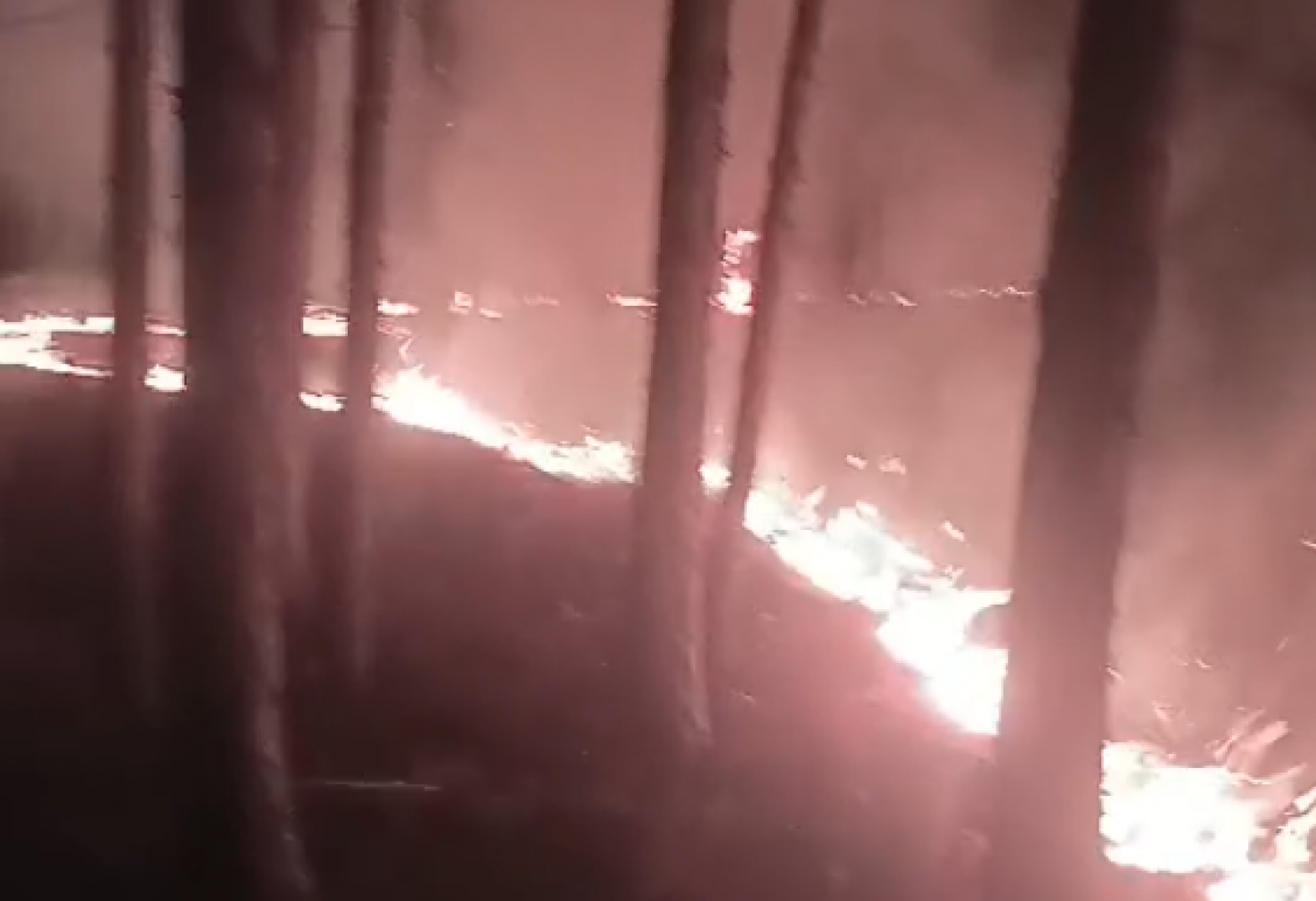 Incêndio atingiu vegetação em Tramandaí | abc+