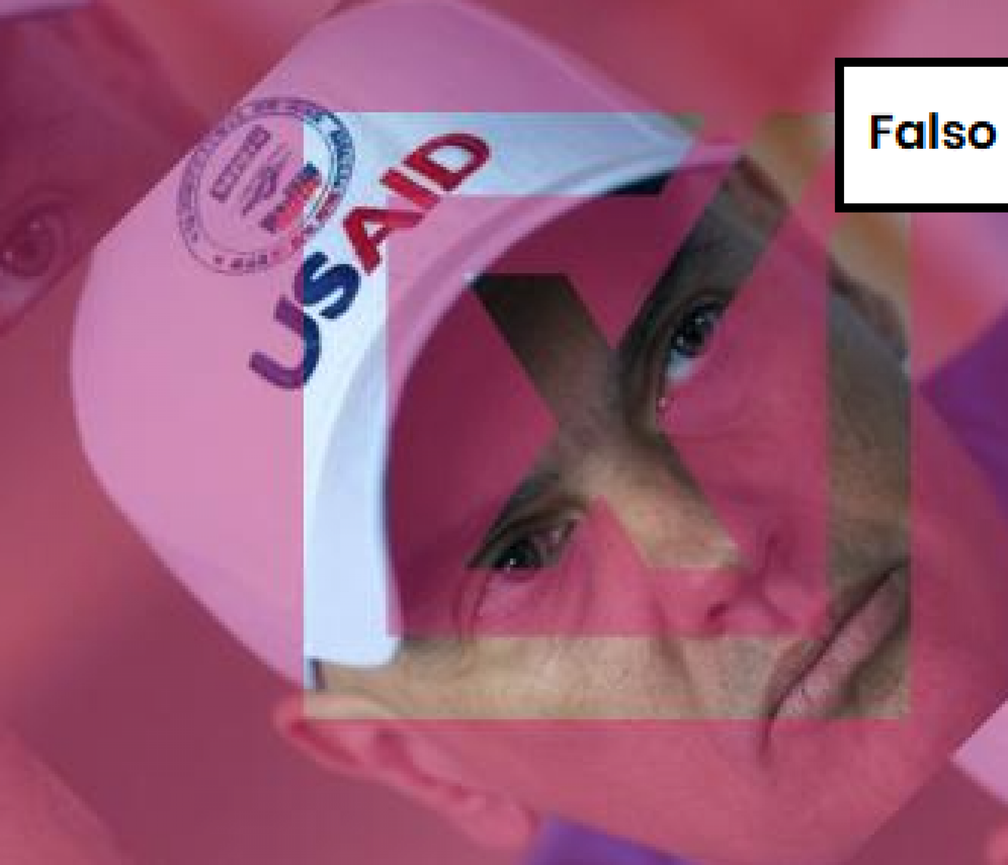 PROJETO COMPROVA: Imagem de Alexandre de Moraes com boné da USAID foi gerada por IA