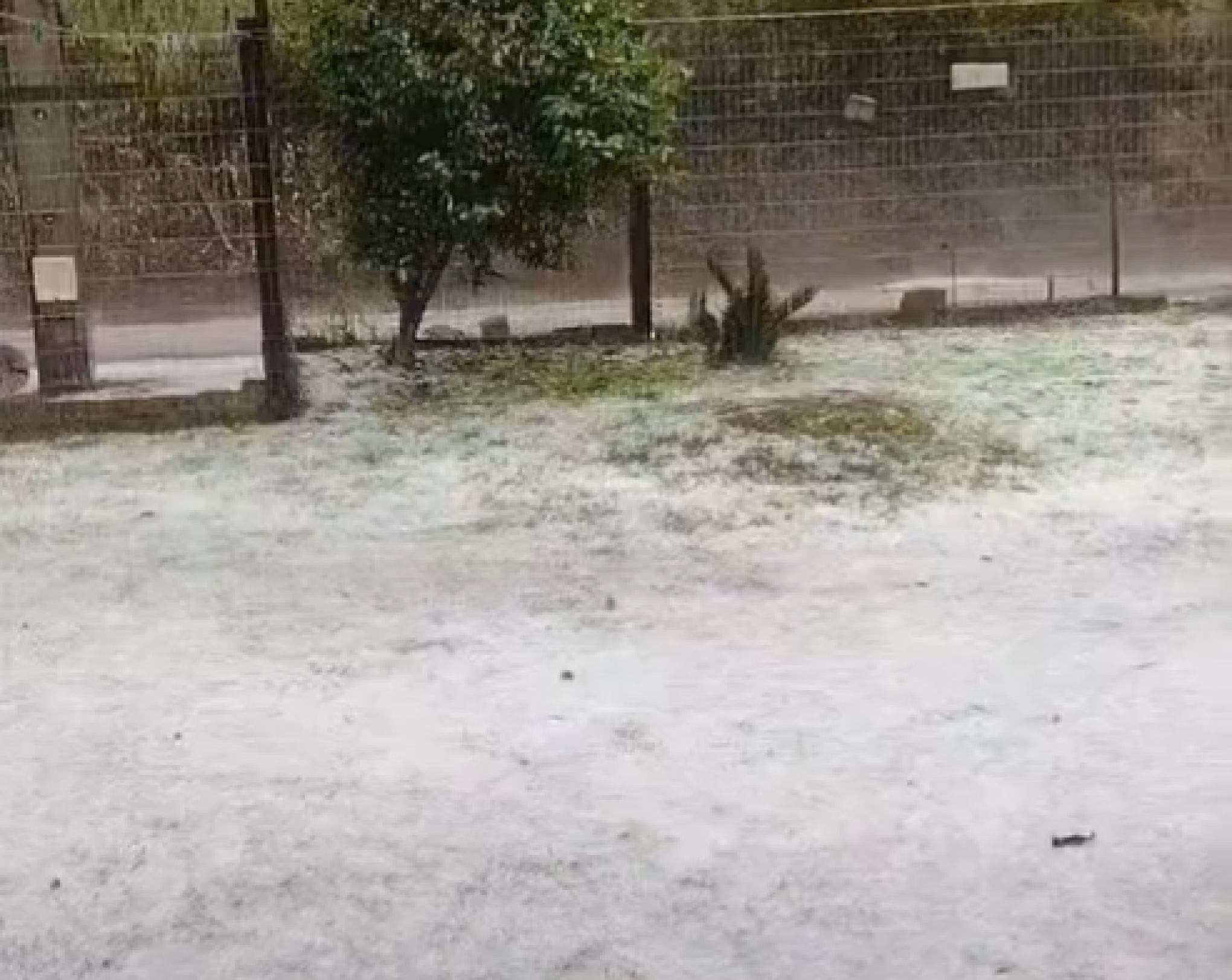Parece neve! Queda impressionante de granizo deixa chão branco em cidade do RS; veja vídeo