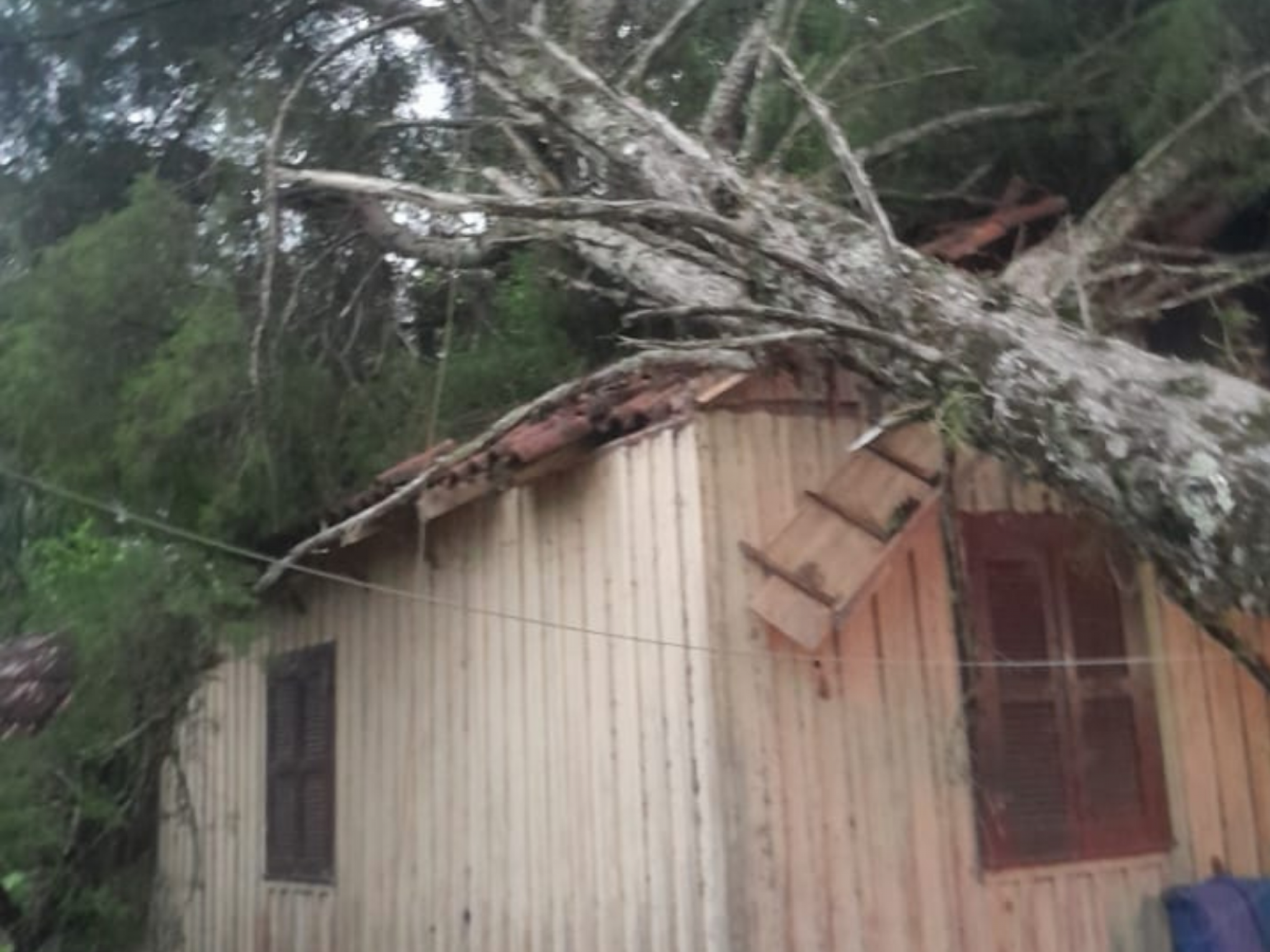 Cidade da região tem queda de árvore em casa e outras 27 ocorrências por conta da chuva