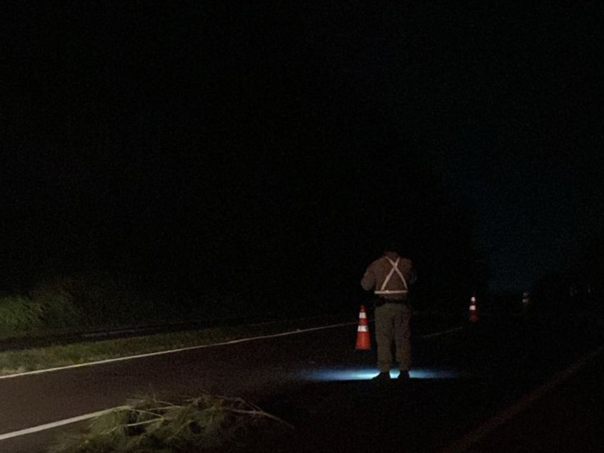 RS-239: Identificado motociclista que morreu em acidente com caminhão