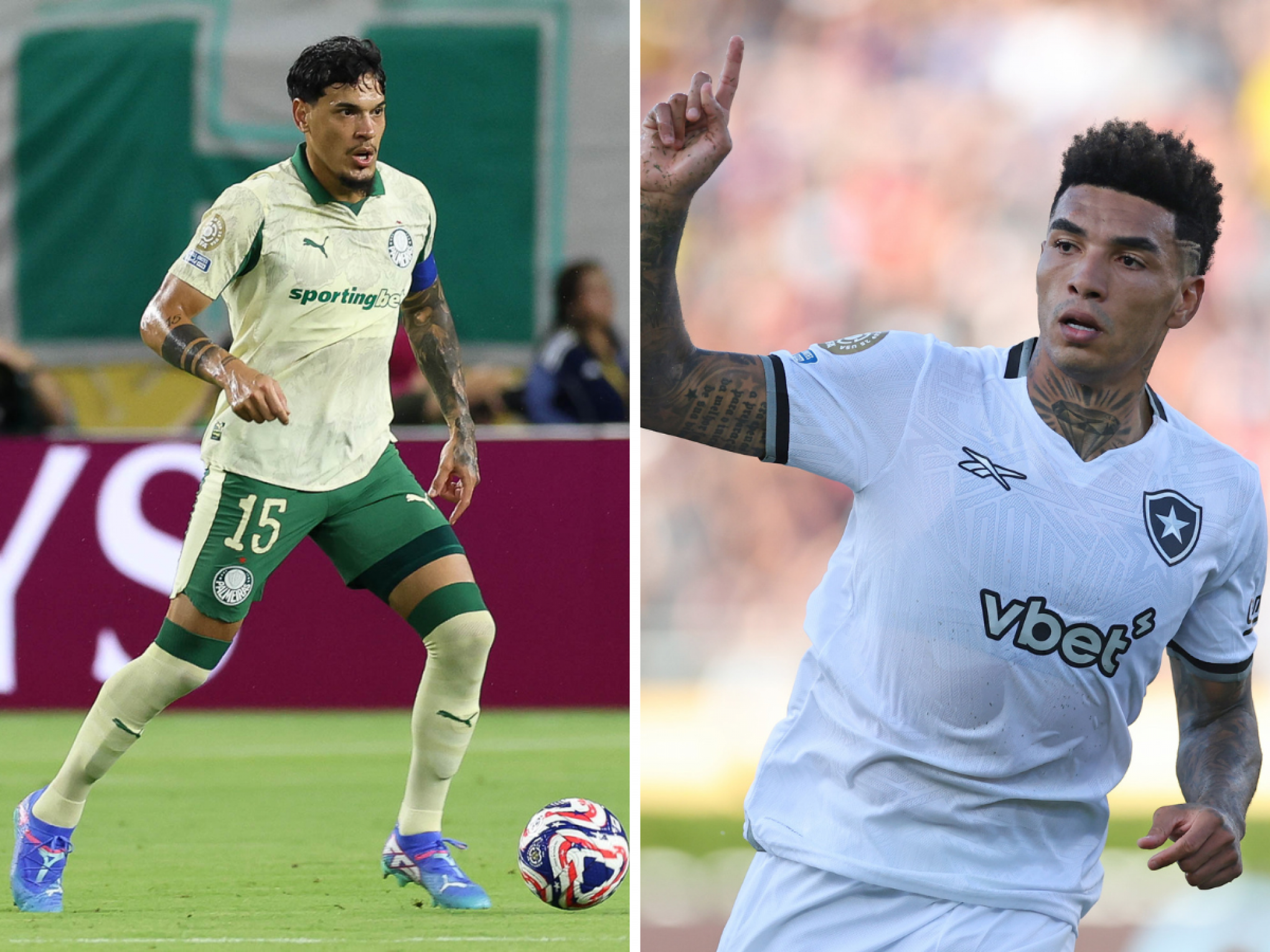 Palmeiras x Botafogo: Onde assistir e horário do jogo pelo Mundial de Clubes