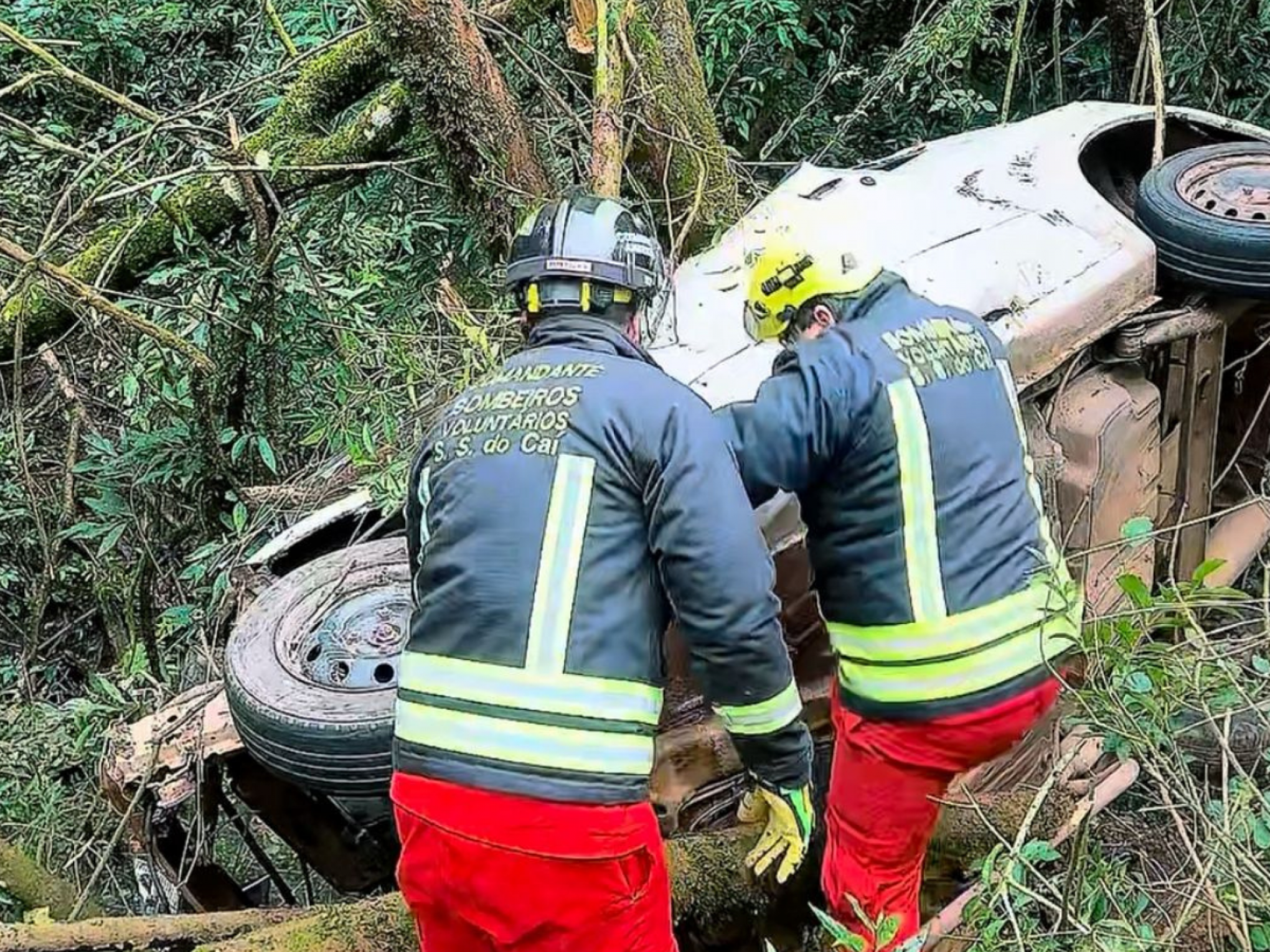RS-124: Identificado motorista que morreu após colidir carro contra árvore no Vale do Caí
